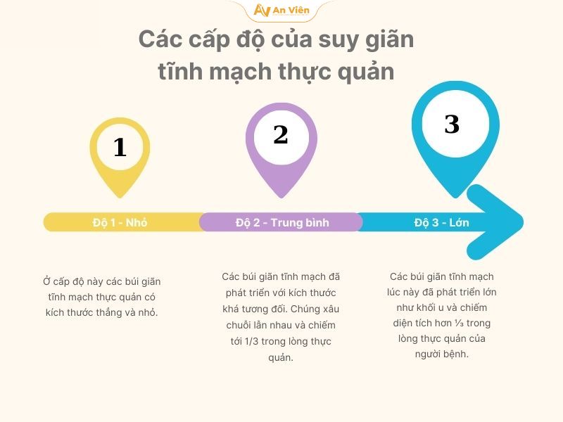 Tìm hiểu về suy giãn tĩnh mạch thực quản độ 3 8 Suy giãn tĩnh mạch thực quản độ 3