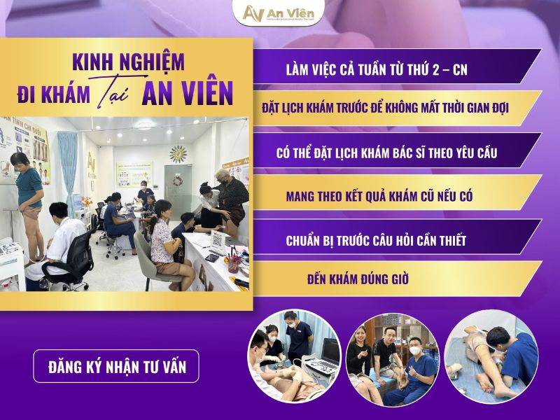 tĩnh mạch an viên