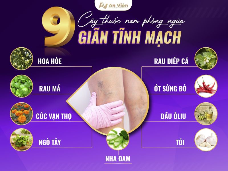 6 cách phòng chống suy giãn tĩnh mạch giúp bạn đối phó nhanh 12 cách phòng chống suy giãn tĩnh mạch