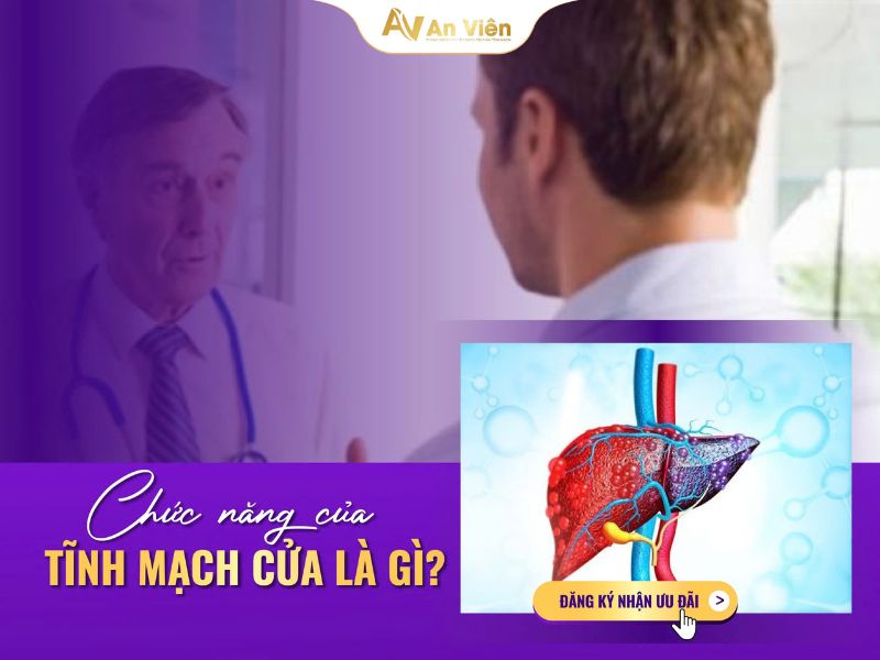 Tĩnh mạch gánh là gì và những vấn đề cần lưu ý 10 tĩnh mạch gánh