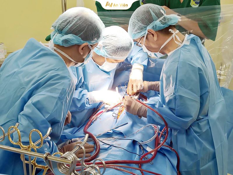 Tĩnh mạch azygos là gì? Những thông tin bạn đọc cần biết 9 Tĩnh mạch Azygos