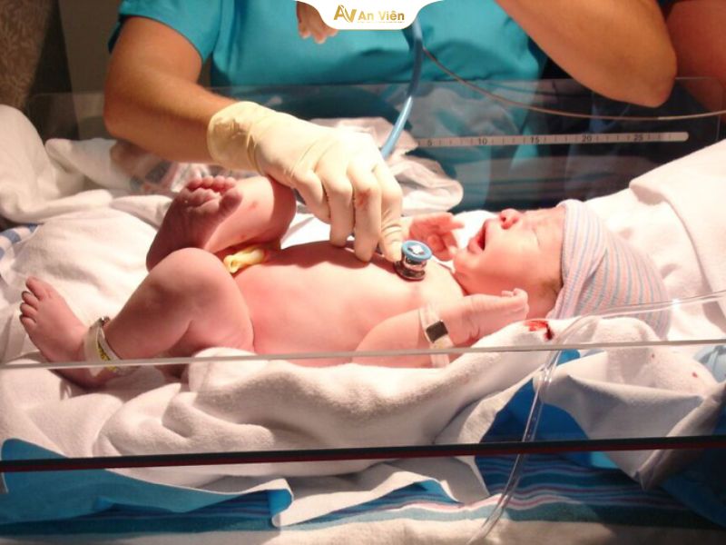 Tìm hiểu kỹ thuật đặt catheter tĩnh mạch rốn trẻ sơ sinh 9 Tĩnh mạch rốn trẻ sơ sinh