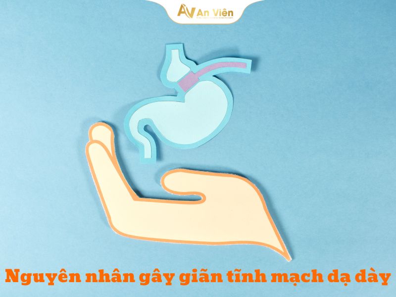 Giãn tĩnh mạch dạ dày là gì? Tổng quan kiến thức 8 giãn tĩnh mạch dạ dày
