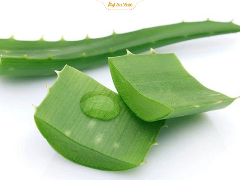 Chữa giãn tĩnh mạch bằng nha đam: Hiệu quả thật không? 11 Thành phần hoạt chất có lợi trong nha đam