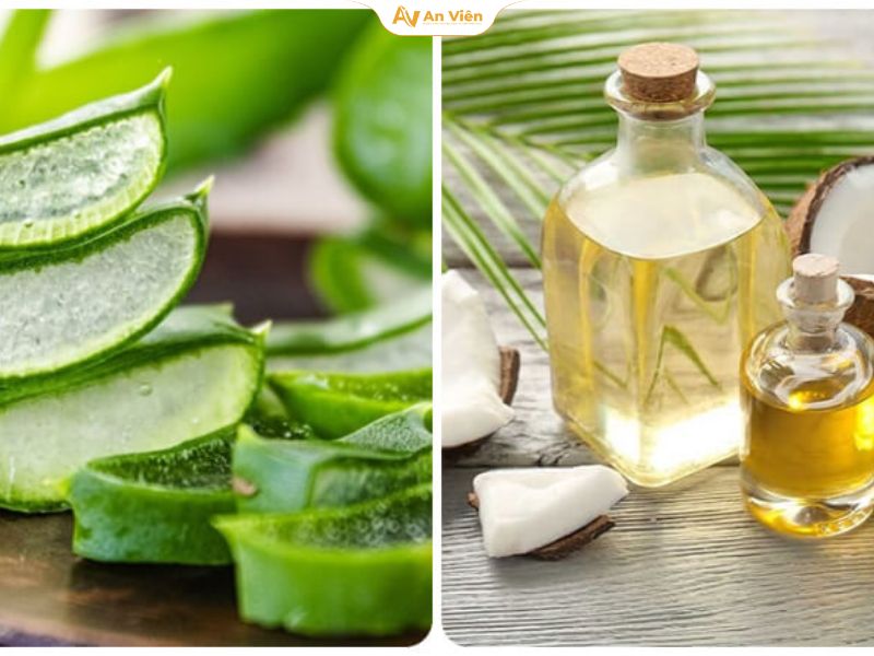 Chữa giãn tĩnh mạch bằng nha đam: Hiệu quả thật không? 14 Kết hợp nha đam và dầu dừa