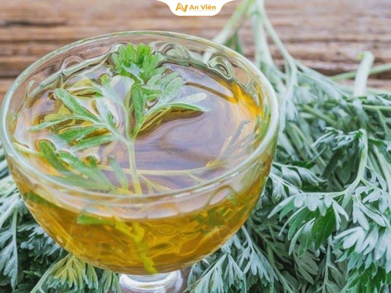Uống nước ngải cứu