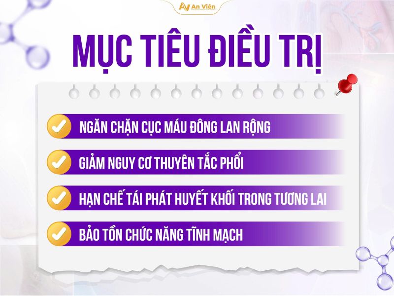 Phác đồ điều trị huyết khối tĩnh mạch: Cập nhật đầy đủ, dễ hiểu cho người bệnh 15 Phác đồ điều trị huyết khối tĩnh mạch