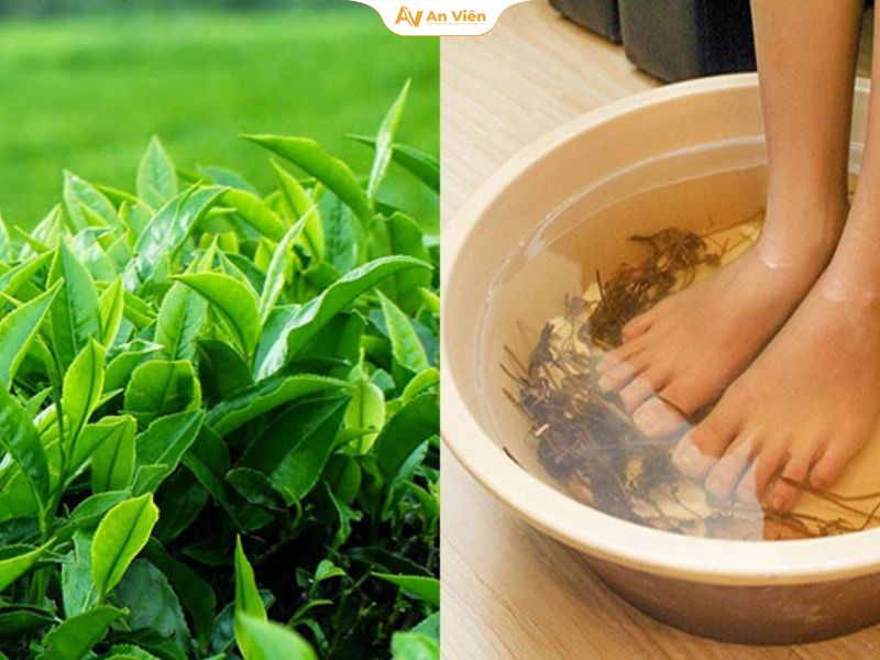 Giãn tĩnh mạch ngâm chân bằng nước gì tốt cho chân? 14 Ngâm chân với lá trà xanh